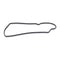 Quantum Fuel Pump Seal Gasket