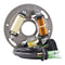 Generator Stator Assorted Yamaha [Refer to Fitments] (RMS010-103150)