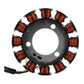 Generator Stator Yamaha TTR110 '08-'22 (RMS010-107173)
