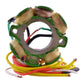 Kit Stator + Pickup Suzuki RM125 / RM250 '94-'01 (RM22843)