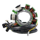 Kit Stator + Flywheel Assorted Polaris (Refer to Fitments) (RMS900-102180)