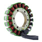UPGRADE STATOR + MOSFET REGULATOR (RMS900-106902)