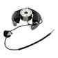 Stator + Rotor + Ignition Coil Kit (RMS900-107608)