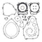 Complete Gasket Set 8080055