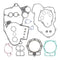 Complete Gasket Set 808318