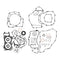 Complete Gasket Set with Oil Seals 8110032