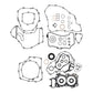 Complete Gasket Set with Oil Seals 8110032