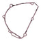 Ignition Cover Gasket Kit 816702