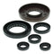 Oil Seal Kit 822209