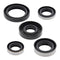 Oil Seal Kit 822216