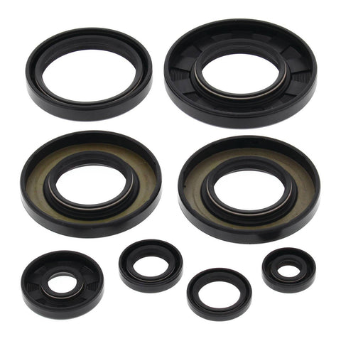 Oil Seal Kit 822349