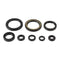 Oil Seal Kit 822378