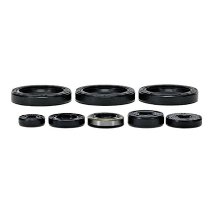 Oil Seal Kit 822403