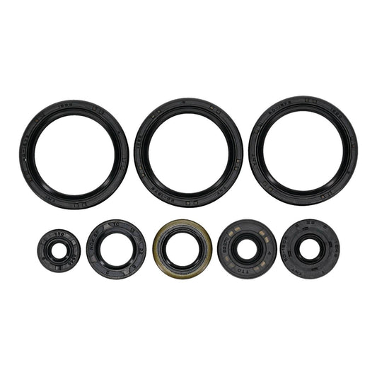 Oil Seal Kit 822403