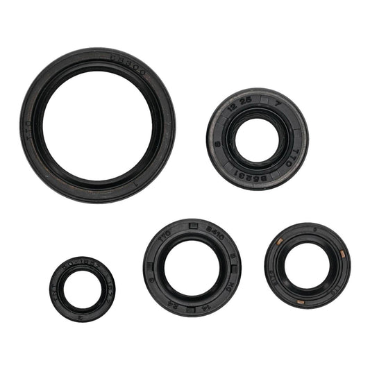 OIL SEAL KIT 822994