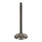 VERTEX VALVE EXHAUST TITANIUM